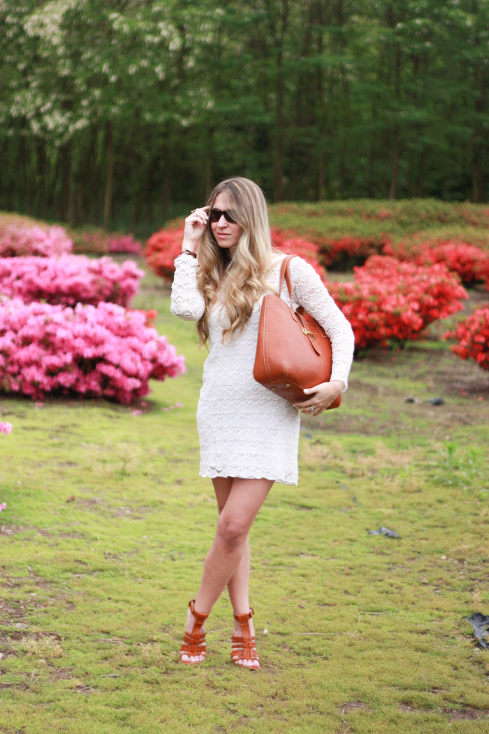 lace dress and brown accessories