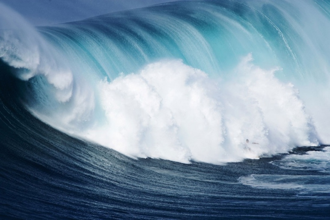 tip_598pst01729_web.900x600