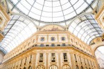 spia di stile a milano per cotton usa